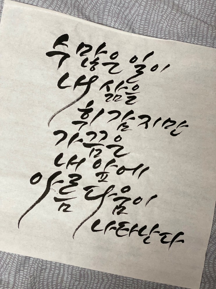  아름다움에 대한 희망