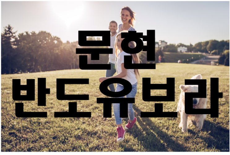  문현 반도유보라 부산 남구대단지 아파트 모집정보