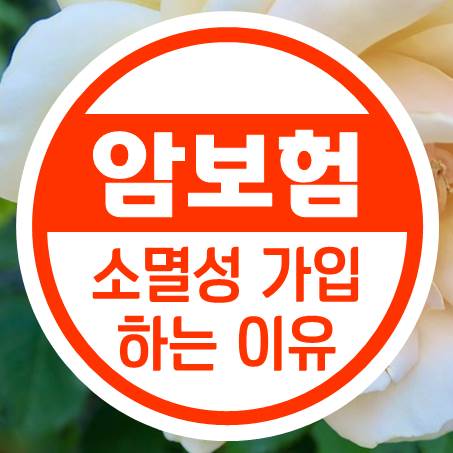  낸 돈이 아깝지만 소멸성암보험 상품으로 선택하는 이유