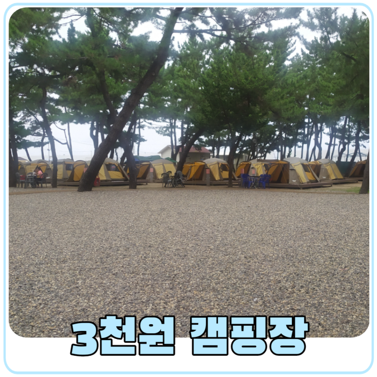 1박에 3천원으로 캠핑을 즐길 수 있는 성북구 삼척 수련원 이용기
