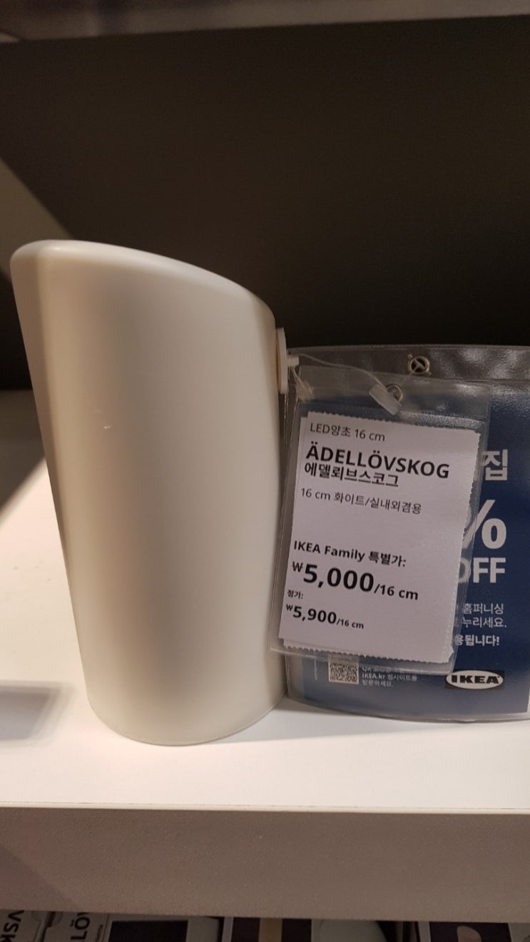  이케아 5000원 가성비 무드등 첫인상 & 리뷰 !(ÄDELLÖVSKOG 에델뢰브스코그)