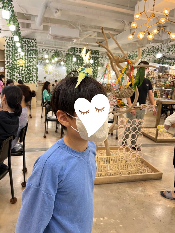 동탄, 앵무새카페, "리프패럿" 동탄, 앵무새카페, "리프패럿"