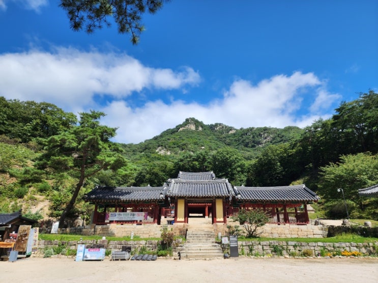  [춘천] 여자 둘이 좌충우돌(?) 1박2일 여행기 - 넘버25 남춘천점 / 청평사 / 부용가든 / 산토리니 카페