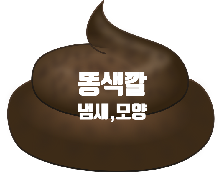 똥색깔, 똥모양, 똥냄새 에 따른 건강 확인