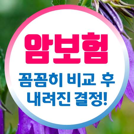  두 종류의 부모님 암보험 비교 후 어렵게 가입 결정을 내렸다