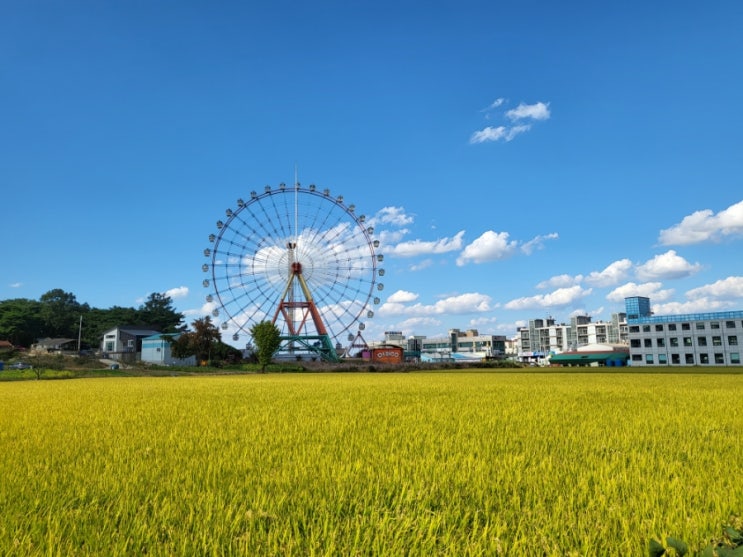 충남 가볼만한 곳(공세리성당 / 당진 삽교호 놀이동산 관람차 포토존 위치)