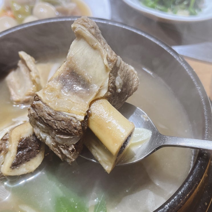  석계 맛집 제주본가 갈비탕 넘 맛있었어요!