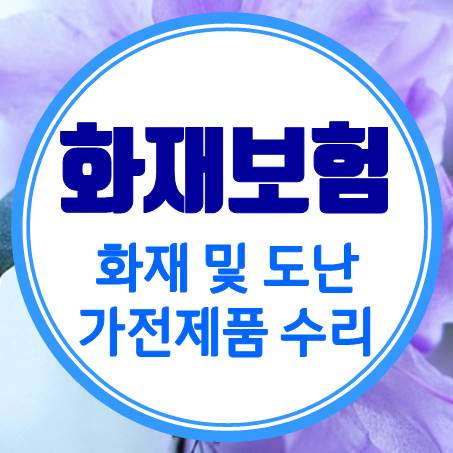  도난 사고와 가전제품 수리 되는 가정집화재보험으로 알아보았다