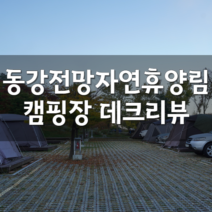  동강전망자연휴양림캠핑장 데크 둘러보기. 숨어있는 명당 찾기.
