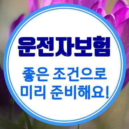  7754원으로 20대 운전자보험 가입 할 수 있다