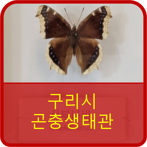  구리시 곤충생태관은 나비곤충관으로 유명합니다.
