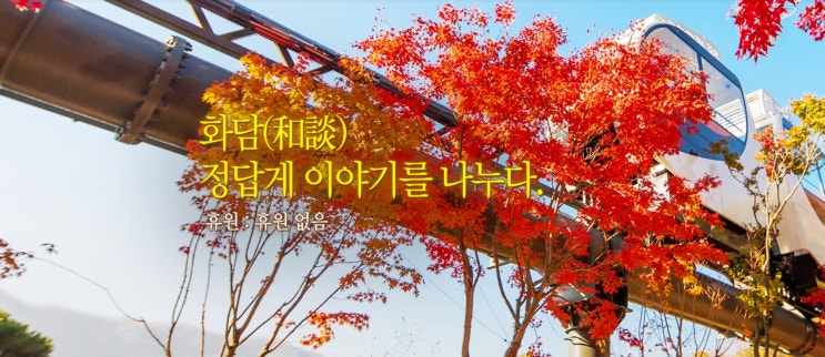  [10월 축제] 화담숲 가을 단풍 축제 기본정보