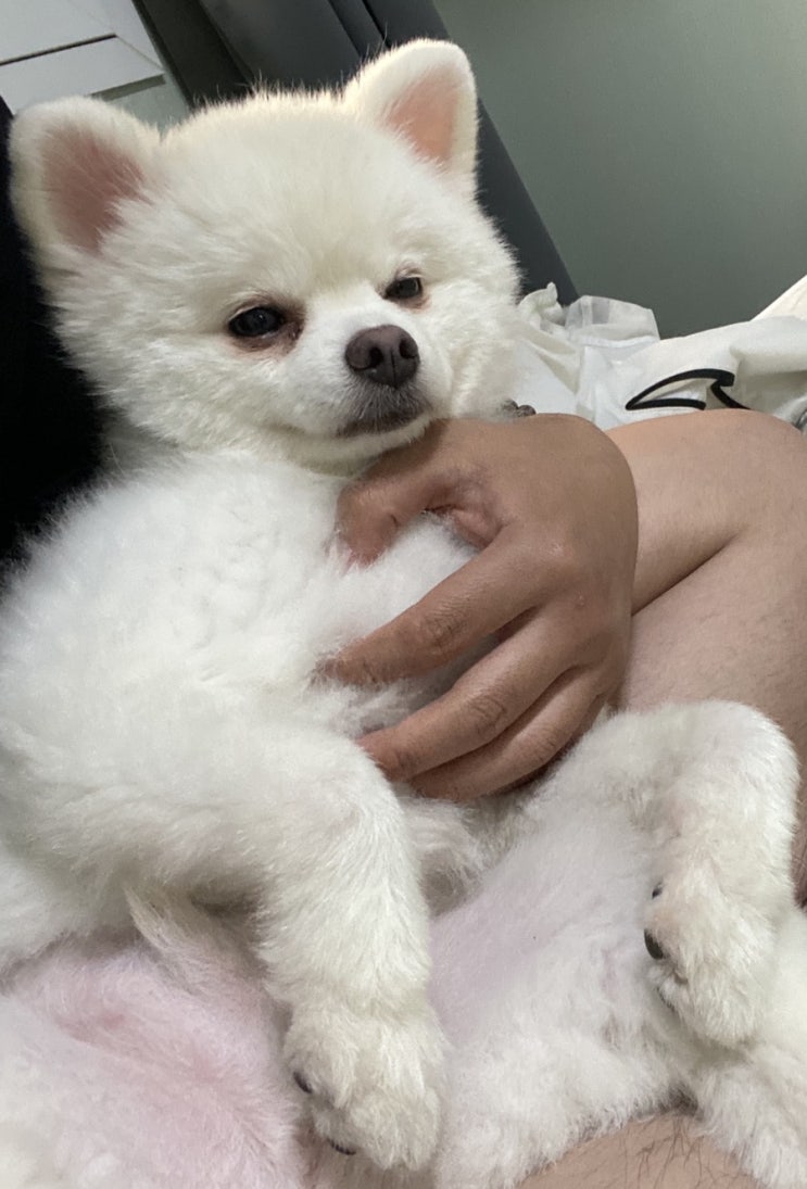  [룩또]1036회 로또당첨번호조회_1037회 로또번호추천