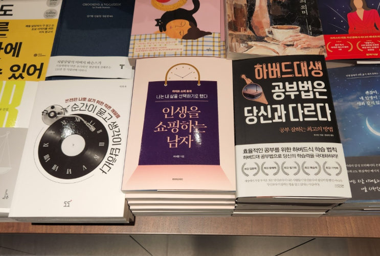 인생 여행/인생 목표/인생 책을 읽고 나도 작가가 되었다. 인생을 쇼핑하는 남자 내책내읽#02 인생 여행/인생 목표/인생 책을 읽고 나도 작가가 되었다. 인생을 쇼핑하는 남자 내책내읽#02