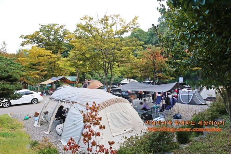 서울근교 아이들과 캠핑 시설좋은 경기도 광명 도덕산 캠핑장 추천