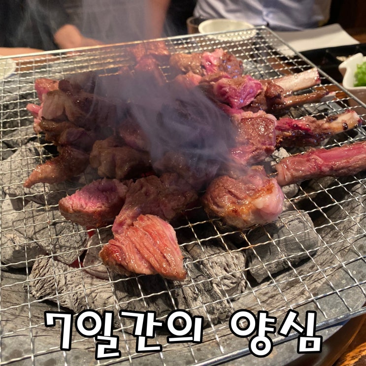  [공릉 맛집] 양고기 맛집 7일간의 양심