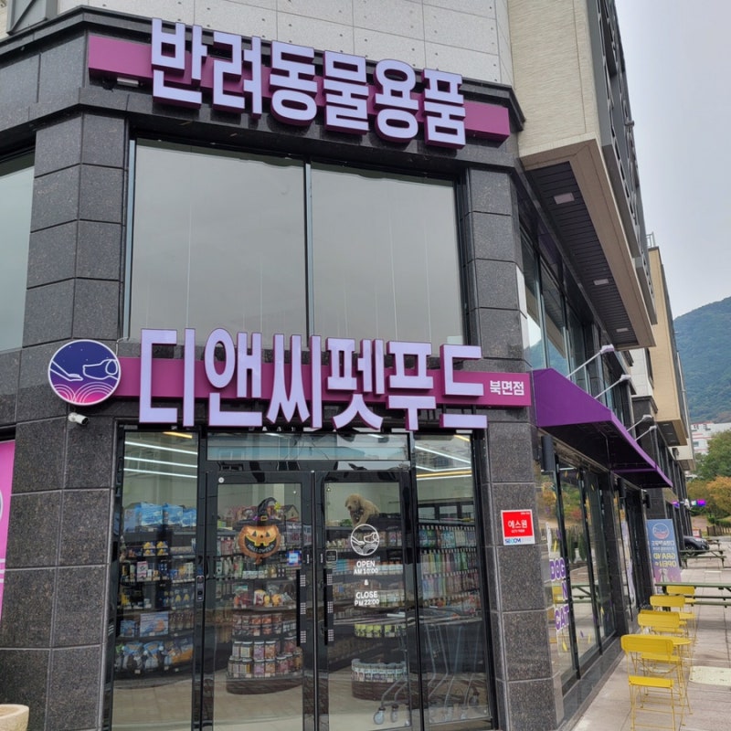 사진 4