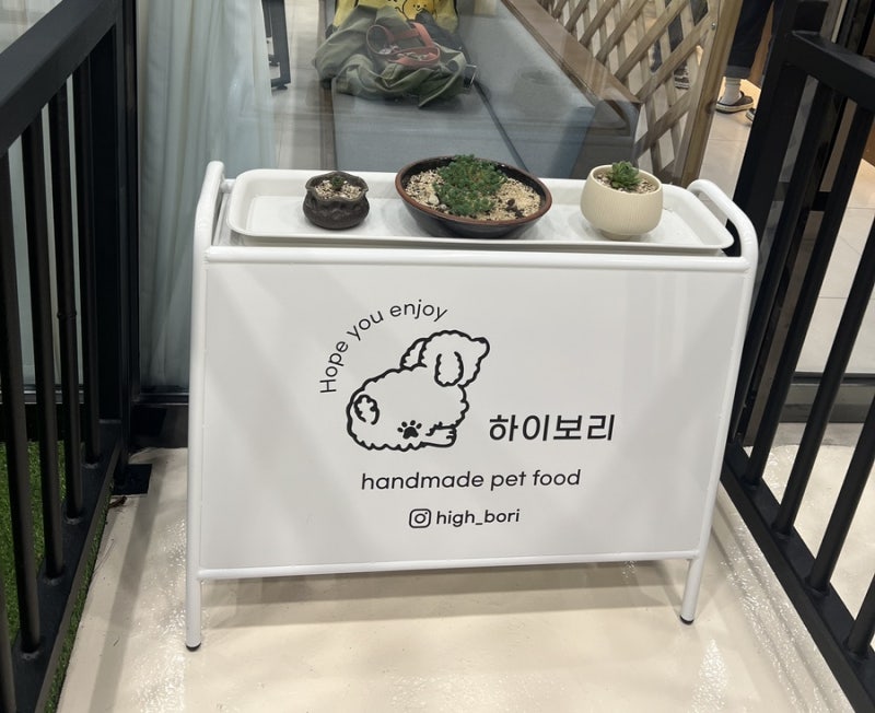 사진 4
