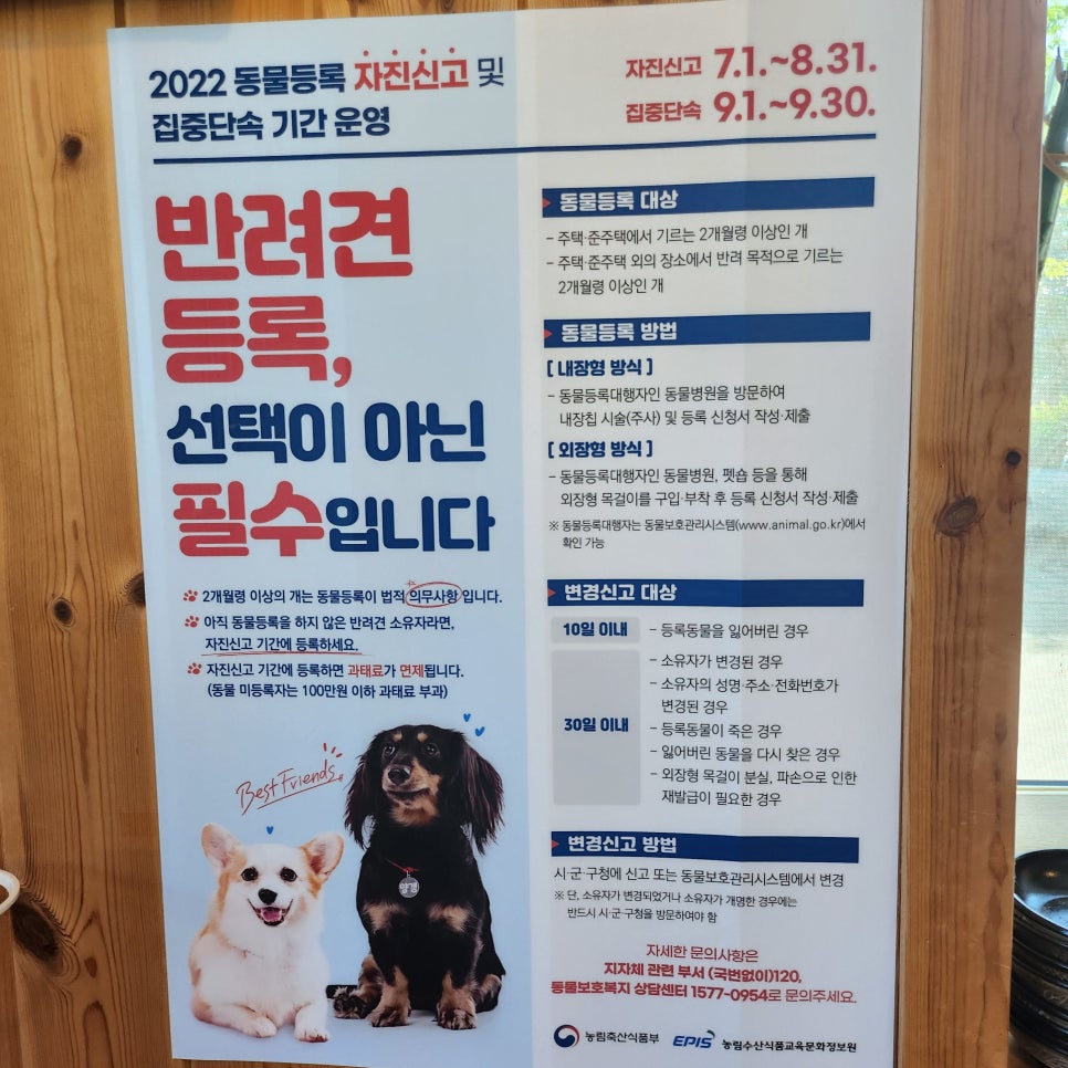 진보동물병원 사진 3