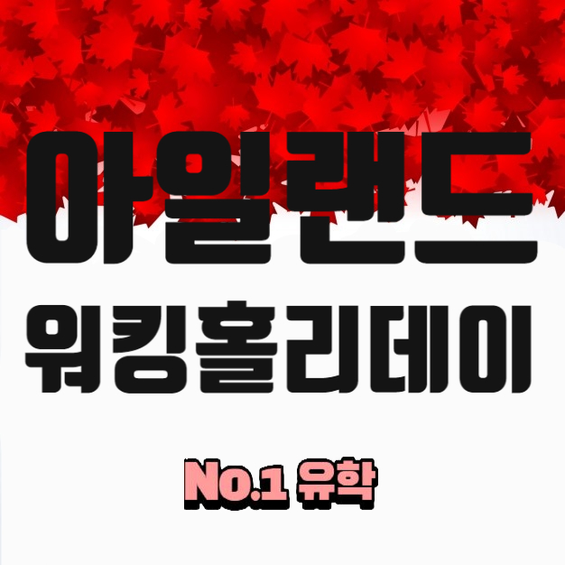  청주아일랜드 워킹홀리데이 모집공고, 언능 신청하세요!!