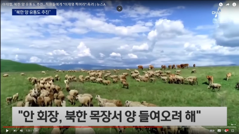 신인균 국방TV-대북코인-미국FBI수사가능!!!