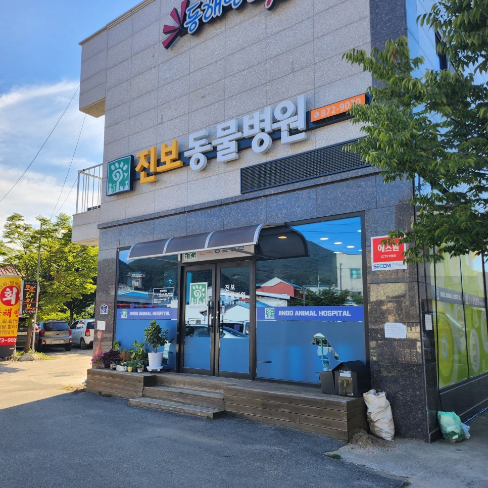 진보동물병원 사진 1