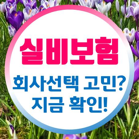  모두가 어느 회사 노인실비보험 가입하는 것이 제일 좋은지 궁금해하더군요.