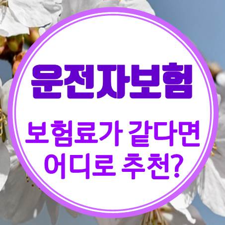  비슷하게 운전자보험료 나왔을땐 무슨 기준으로 선택하면 좋을까?