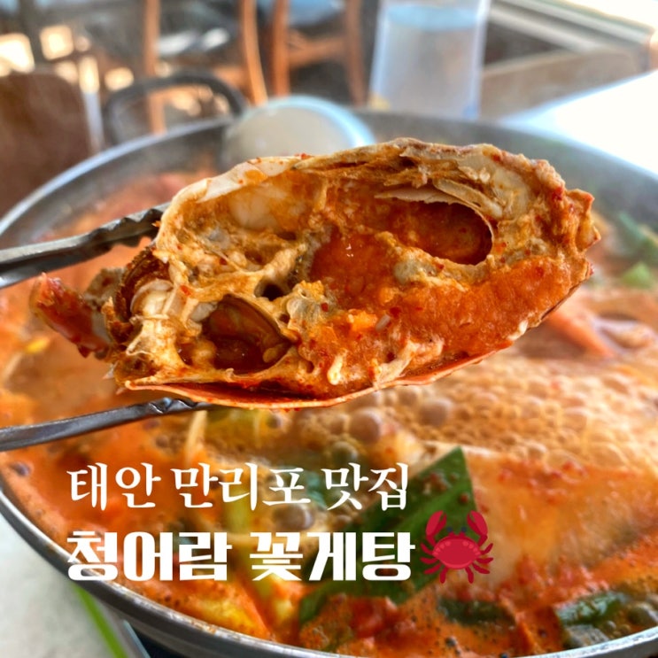  만리포 맛집 태안 청어람 - 쌀쌀한 가을날 먹기 좋은 칼칼한 꽃게탕