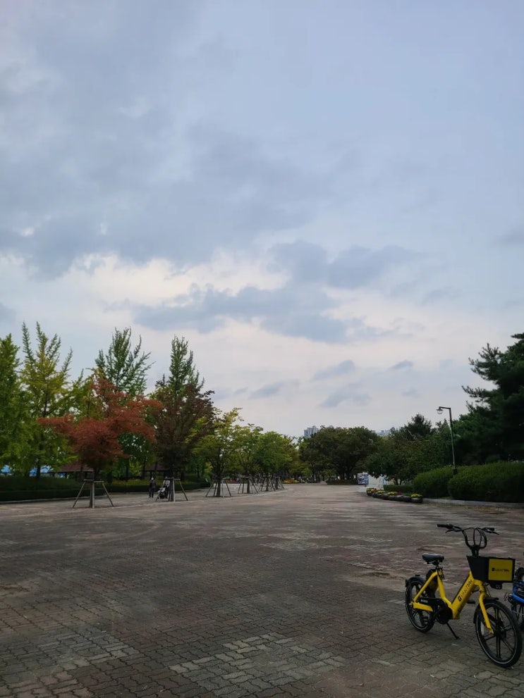  가을산책_일산 가볼만한곳 호수공원 분수(주차,8경)