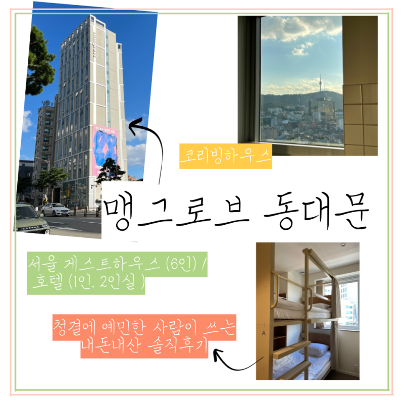 맹그로브 동대문 : 서울 게스트하우스 , 숙소 진심 괜찮음 : 네이버 블로그 맹그로브 동대문 : 서울 게스트하우스 , 숙소 진심 괜찮음 : 네이버 블로그