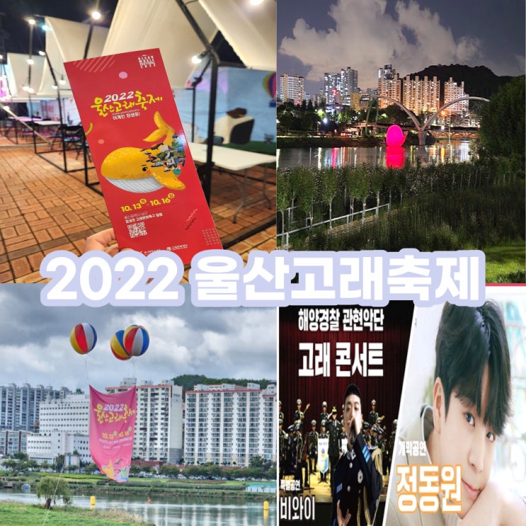  국내축제 울산고래축제 임시주차장, 순환버스 노선, 행사장 가는 버스까지 모든 정보 알려드립니다!