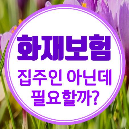  집주인도 아닌데 전세 화재보험 가입 진짜 필요한 거 맞아?