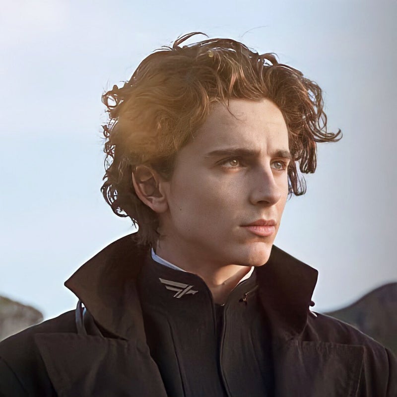 배우 티모시 샬라메(Timothee Chalamet) 프로필, 사진모음