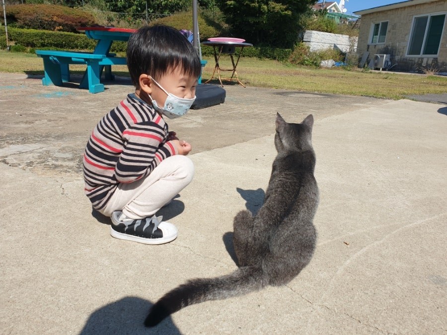 대경민박식당 사진 2