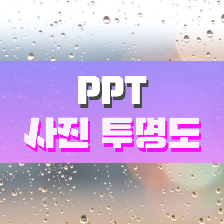PPT 사진 투명도 이렇게 조절하면 됩니다 PPT 사진 투명도 이렇게 조절하면 됩니다