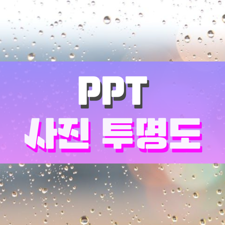 PPT 사진 투명도 이렇게 조절하면 됩니다