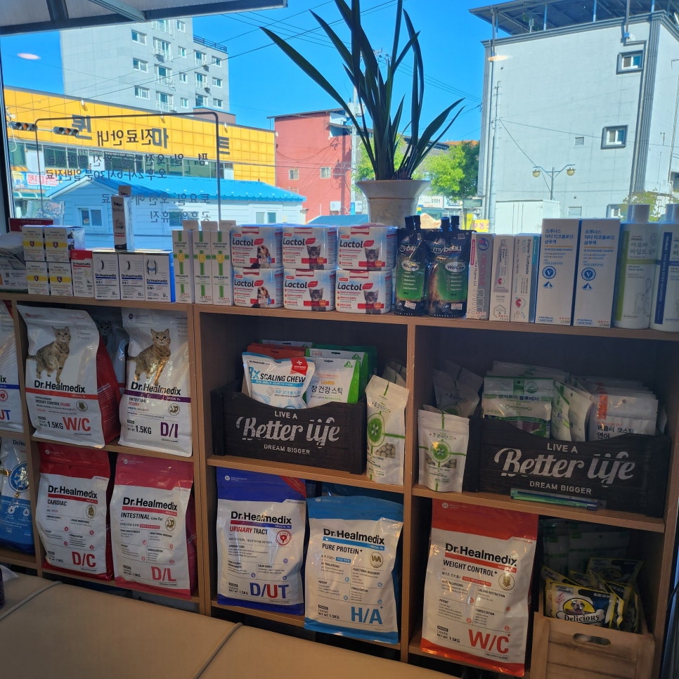 진보동물병원 사진 5