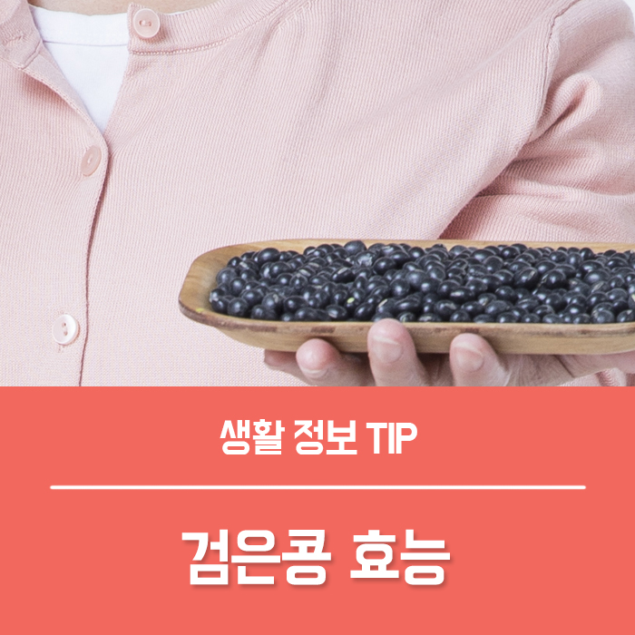  검은콩 효능 9가지, 검은콩차 검은콩두유 효능