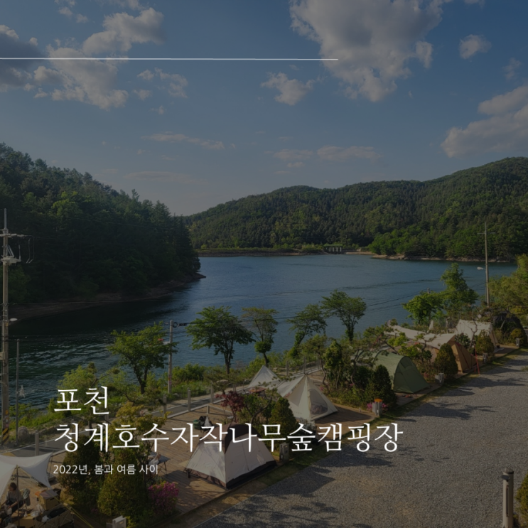  포천 청계호수자작나무숲캠핑장 상세 리뷰