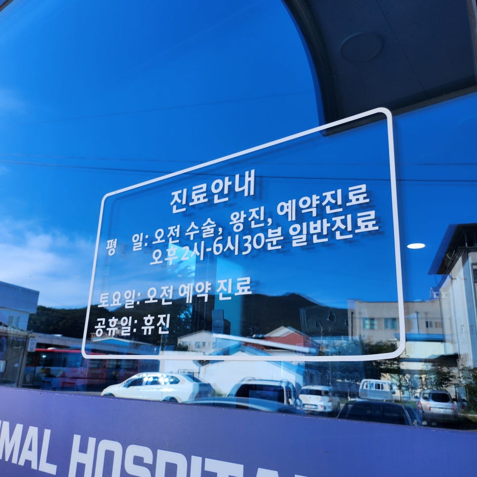 진보동물병원 사진 2