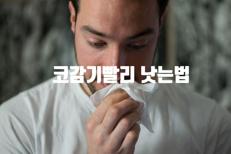  코감기 빨리 낫는 법 12가지