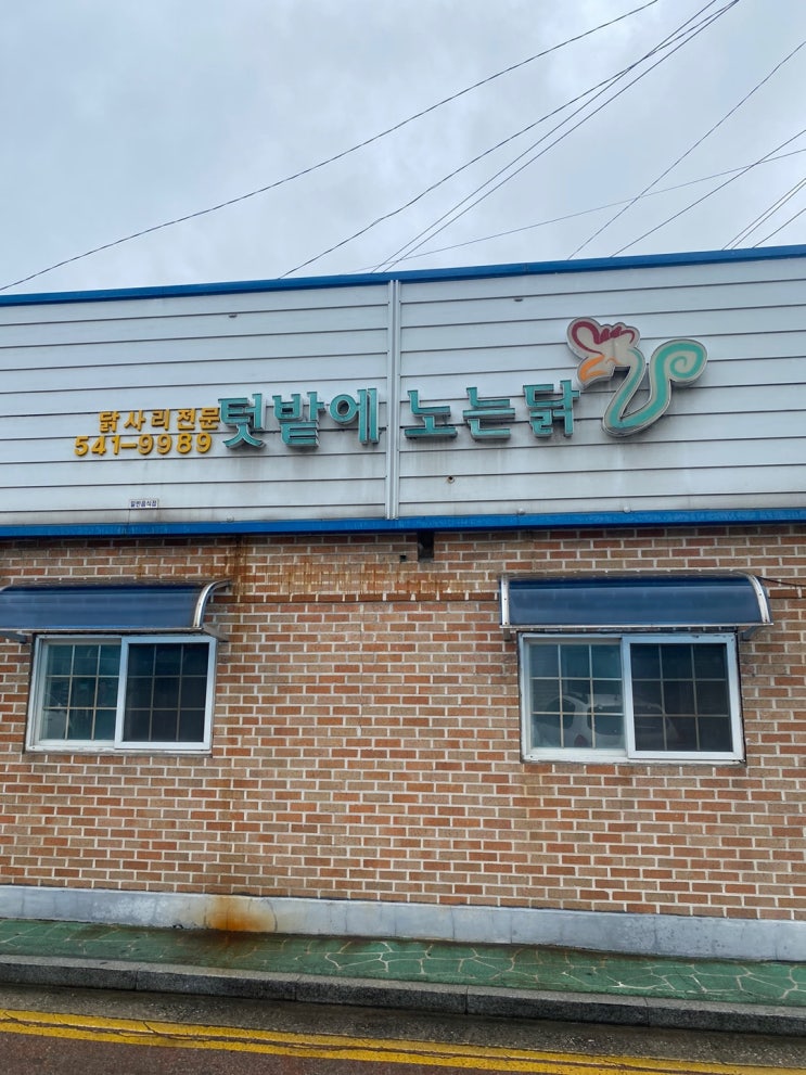 삼척 맛집 물닭갈비 비 오는 날마다 생각나는 맛