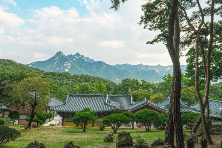 서울 근교 여행, 고양 가볼만한 곳! 북한산뷰 아기자기한 천년고찰, 고양 흥국사