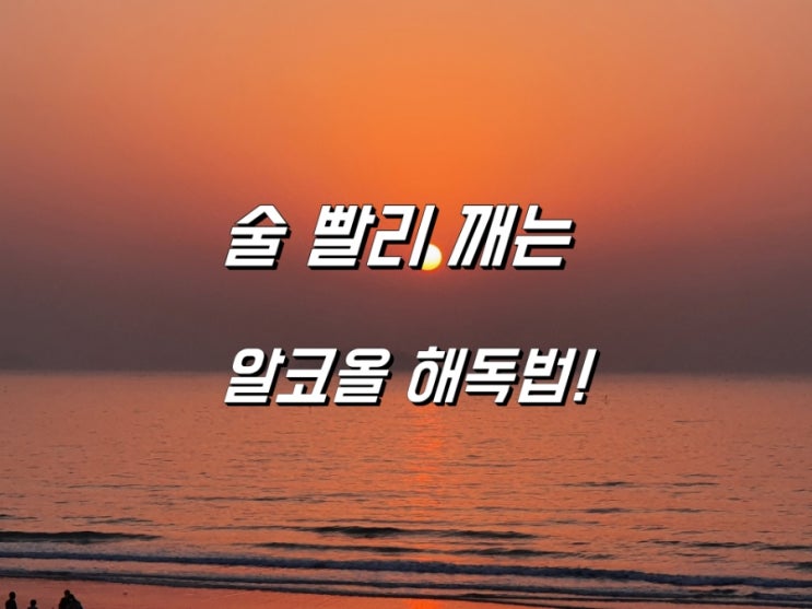 술 빨리 깨는 알코올 해독법! 술 빨리 깨는 알코올 해독법!