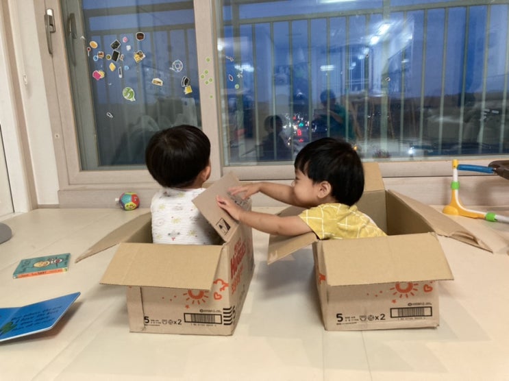 가끔은 박스가 최고의 장난감이 됩니다:-)