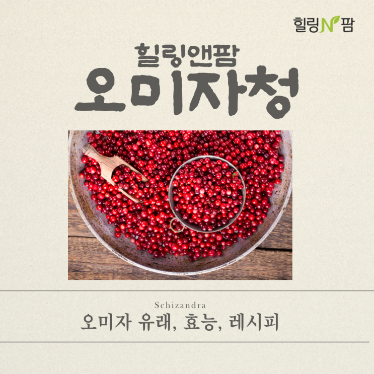  [청, 진액] 새콤달콤한 오미자차, 오미자 효능, 오미자 유래, 오미자청추천