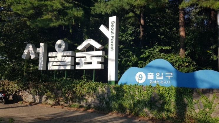  서울숲 나들이 꽃사슴 피크닉