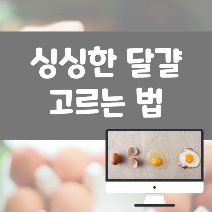 싱신한 달걀 고르는법, 실패 없이 구별 방법 싱신한 달걀 고르는법, 실패 없이 구별 방법