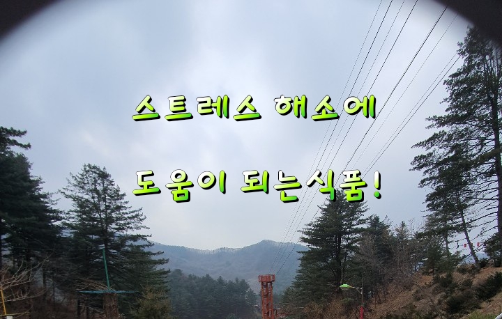 스트레스 해소에 도움이 되는식품! 스트레스 해소에 도움이 되는식품!